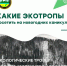 Новогодние каникулы – отличное время для путешествий! - Степные зори