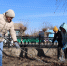Нажмите для предварительного просмотра изображения - Степные зори
